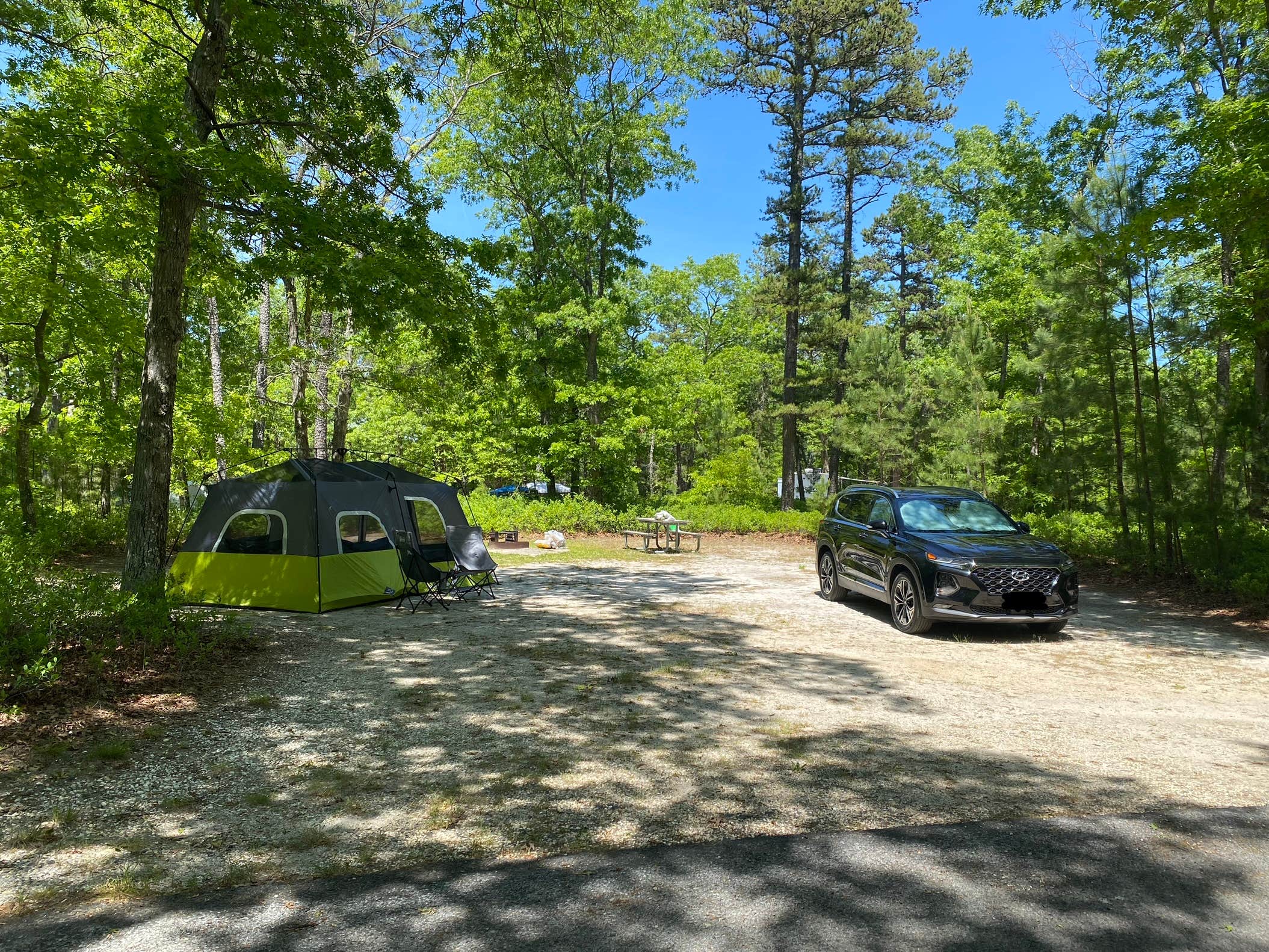 Jonathan L.'s photo at Bass River State Forest near Absecon, NJ