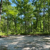 Review photo of Bass River State Forest by Jonathan L., May 28, 2023