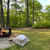 Review photo of Bass River State Forest by Jonathan L., May 28, 2023