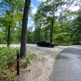 Review photo of Bass River State Forest by Jonathan L., May 28, 2023