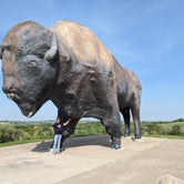 world's largest buffalo