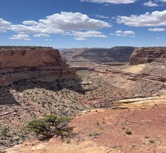 Camper-submitted photo from Little Grand Canyon Dispersed Camping