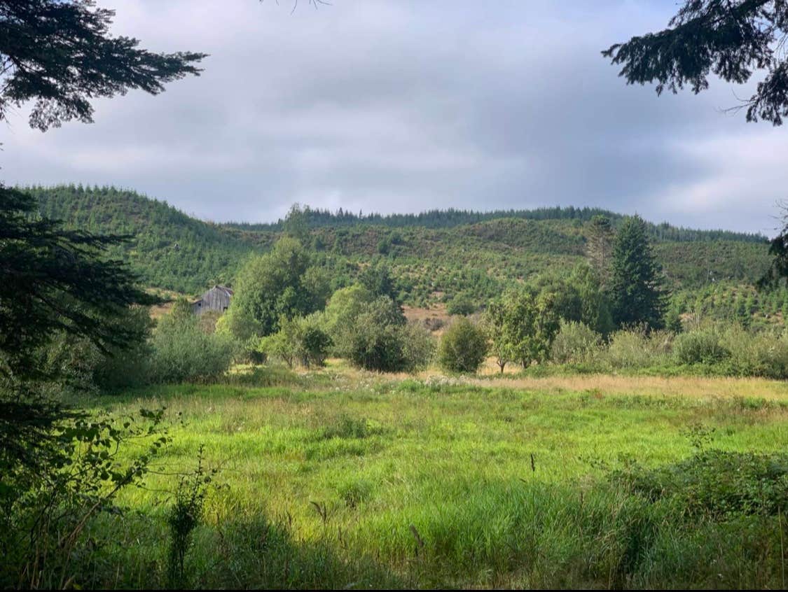 Camper-submitted photo at Lampa Retreat near Coos Bay, OR