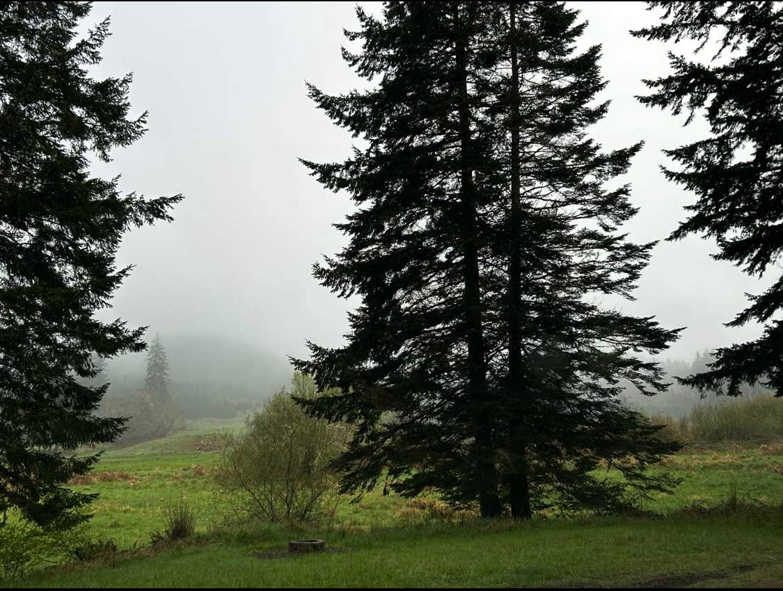 Camper-submitted photo at Lampa Retreat near Coos Bay, OR