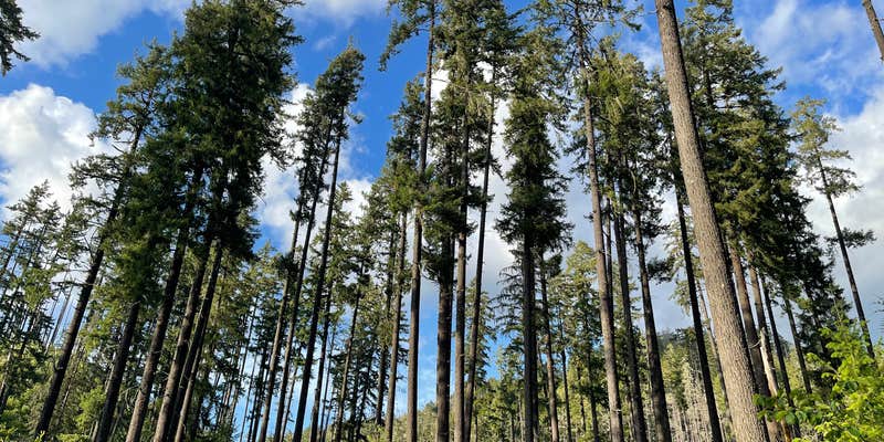 Camper submitted image from Bedrock Campground