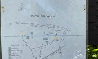 Camping near Clark Creek Organization Campground: Puma Campground, Vida, Oregon