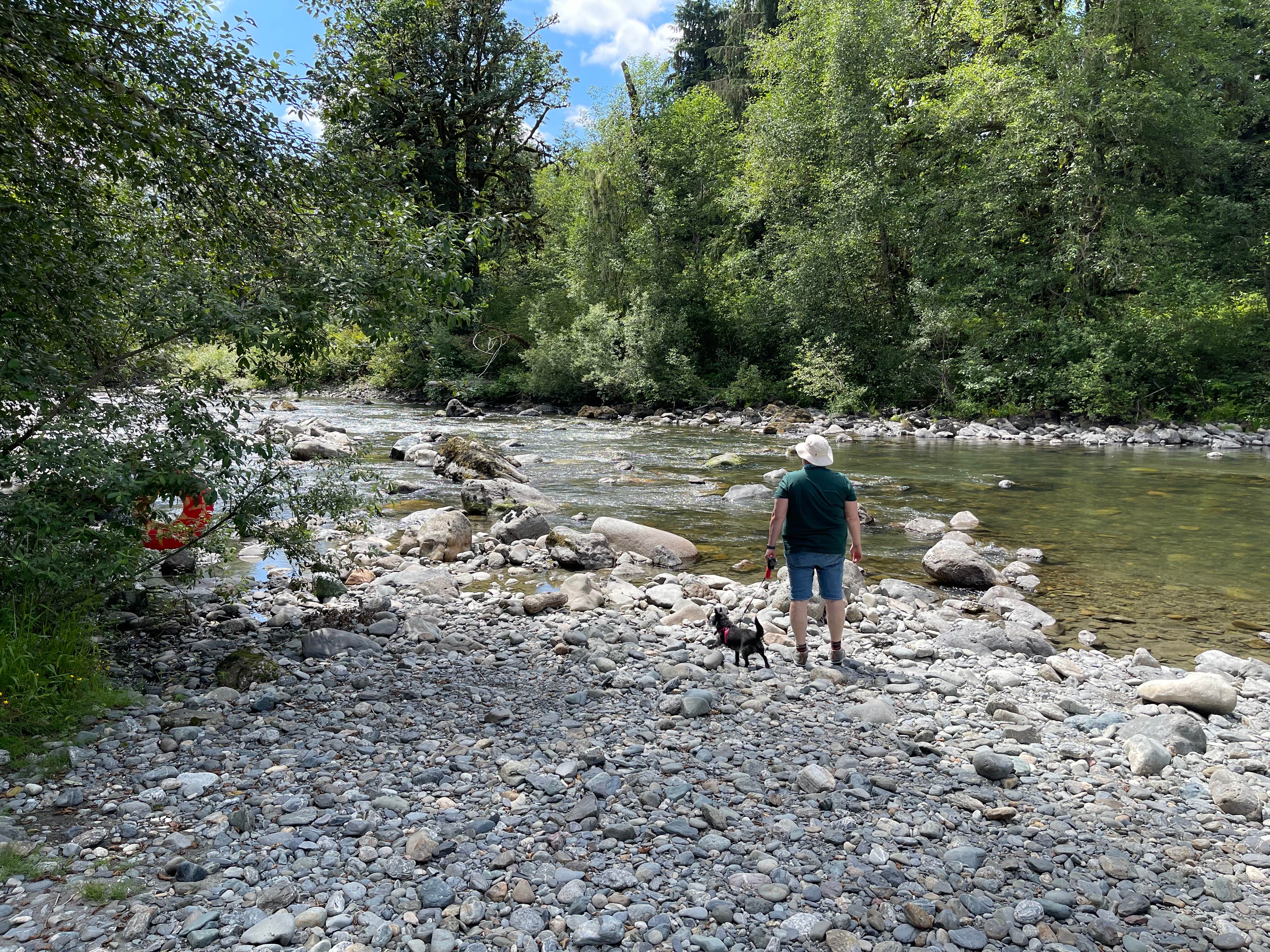 Kevin R.'s photo of camping with pets at Masonic Family Park near Everett, WA