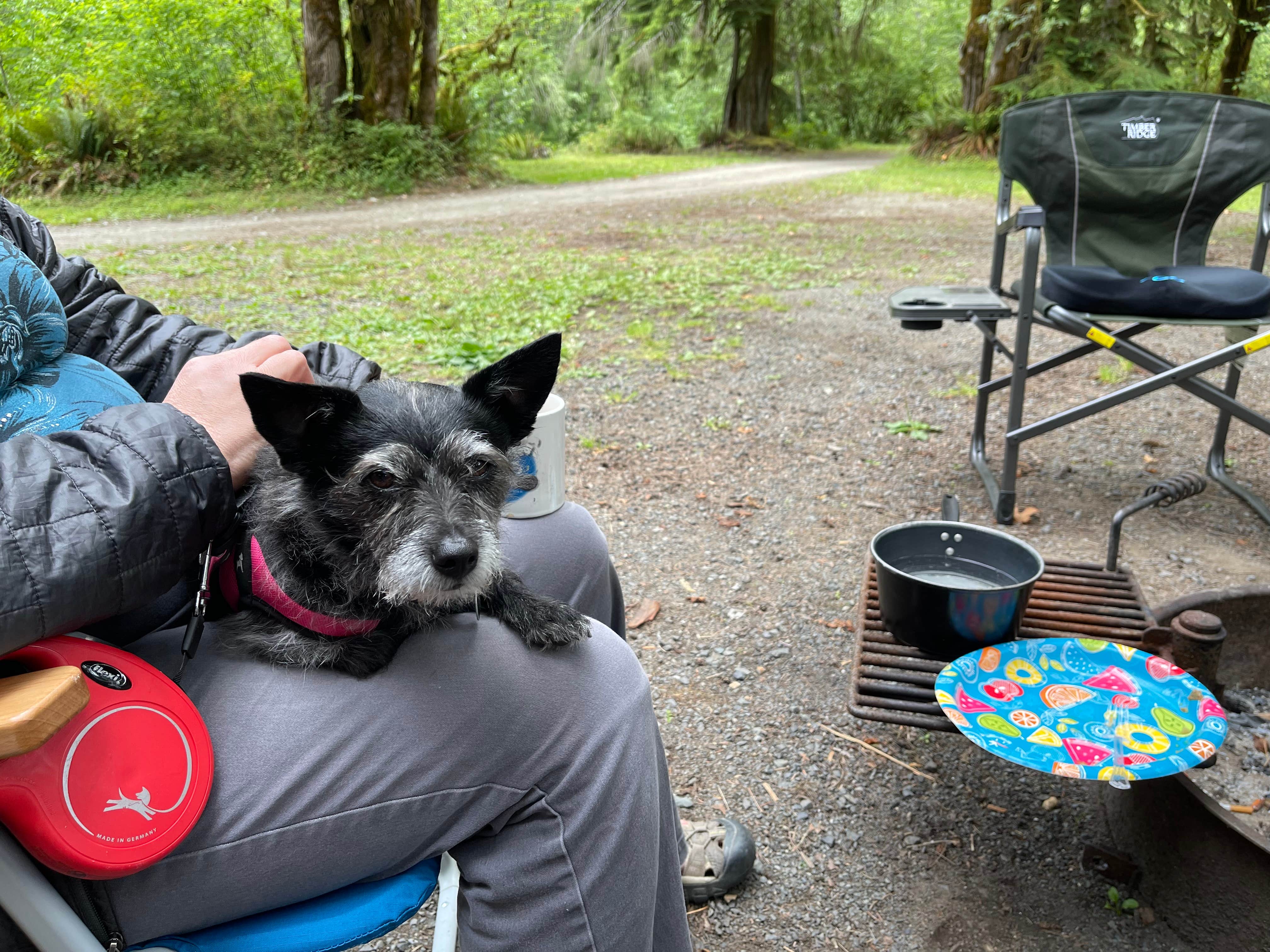 Camper submitted image from Masonic Family Park - 3