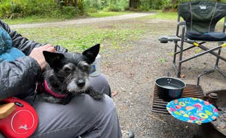 Kevin R.'s photo at Masonic Family Park near Snohomish, WA