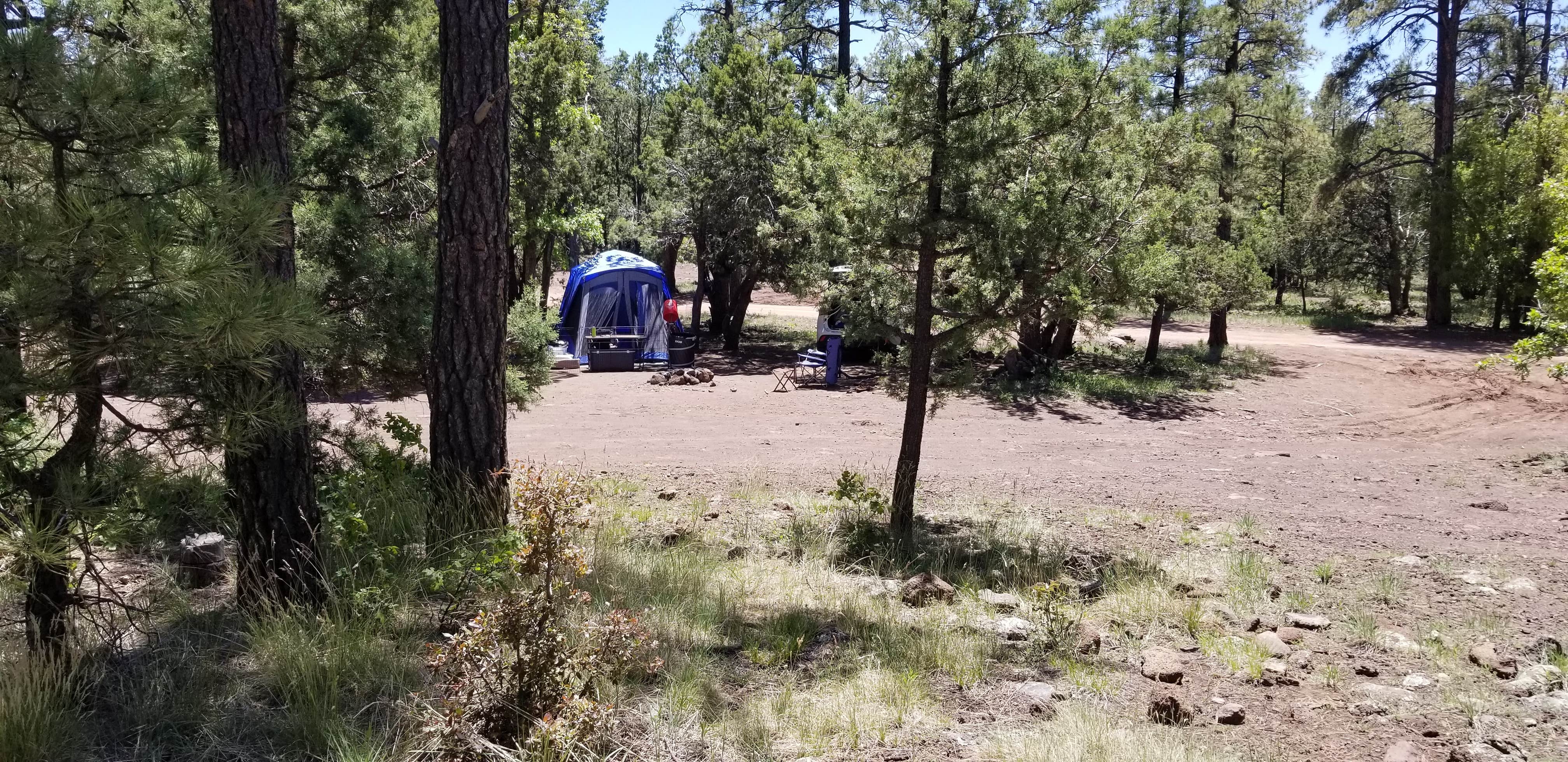 Camper submitted image from Woodchute Wilderness - 5