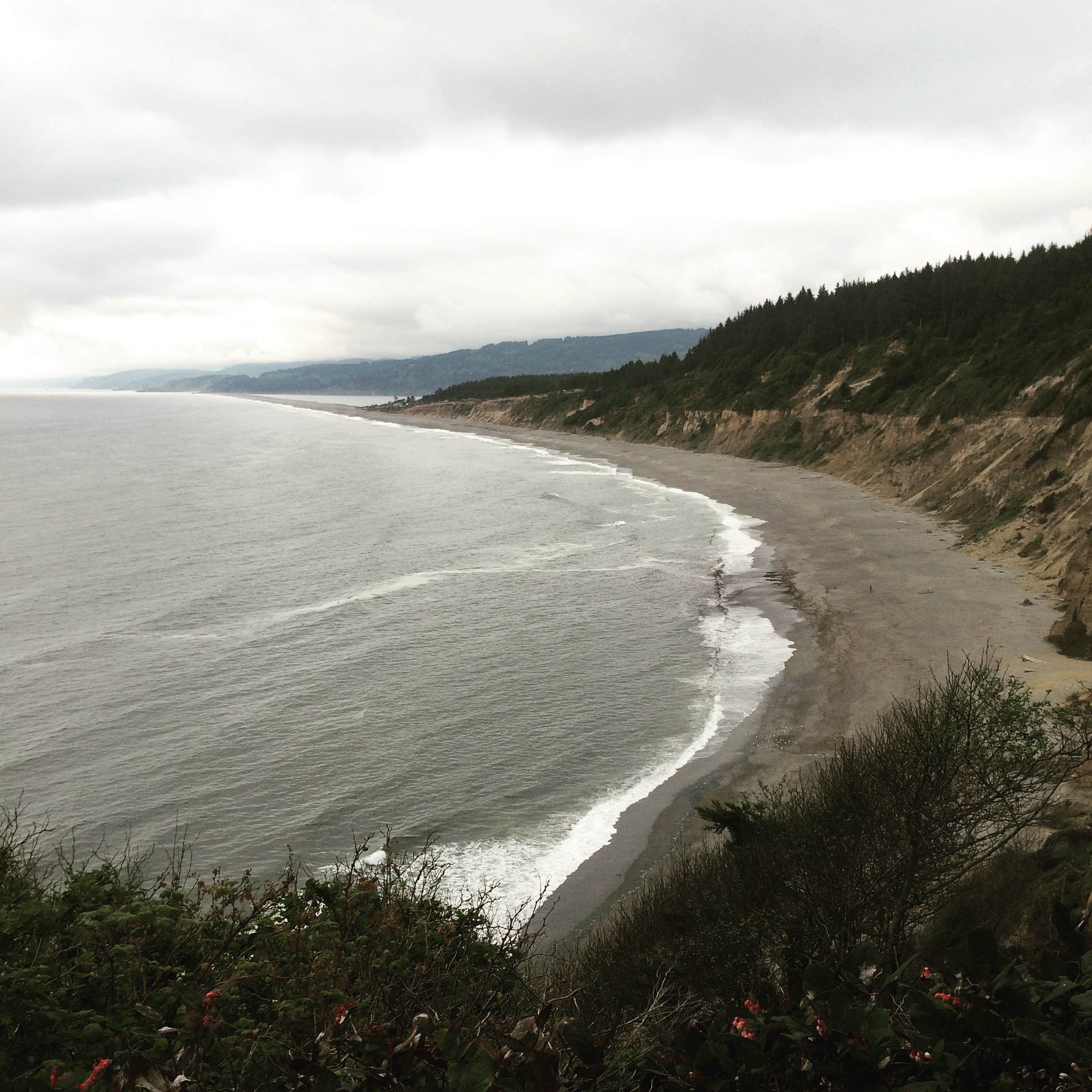 Agate Campground — Sue-meg State Park | Trinidad, California