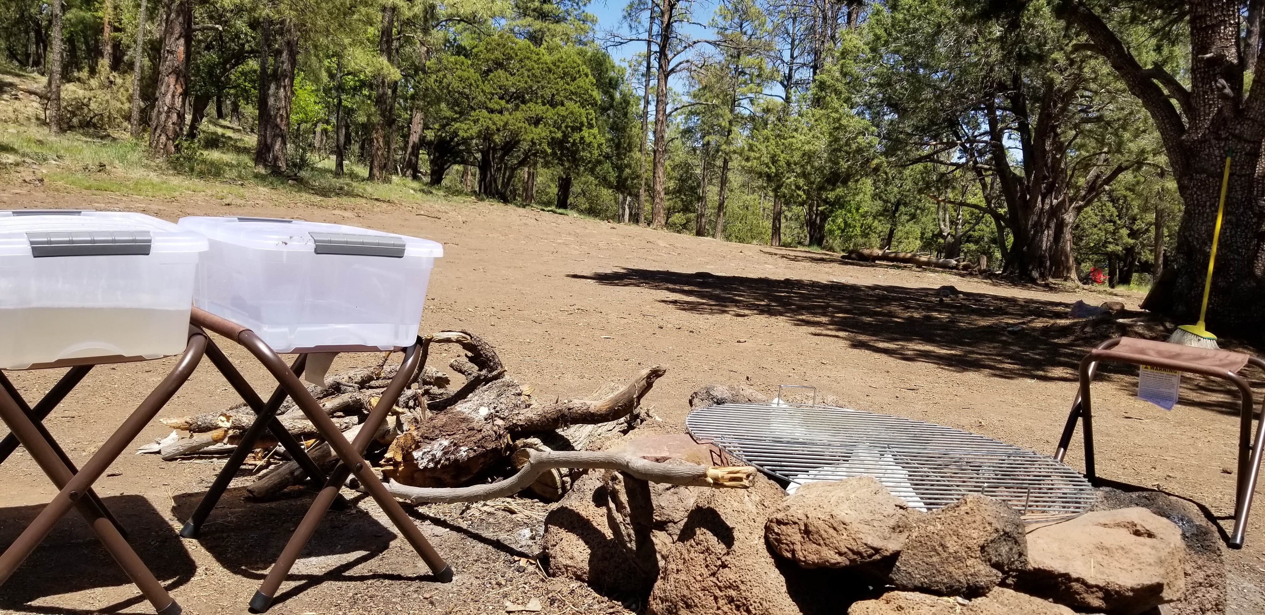 Camper-submitted photo at Woodchute Wilderness near Chino Valley, AZ