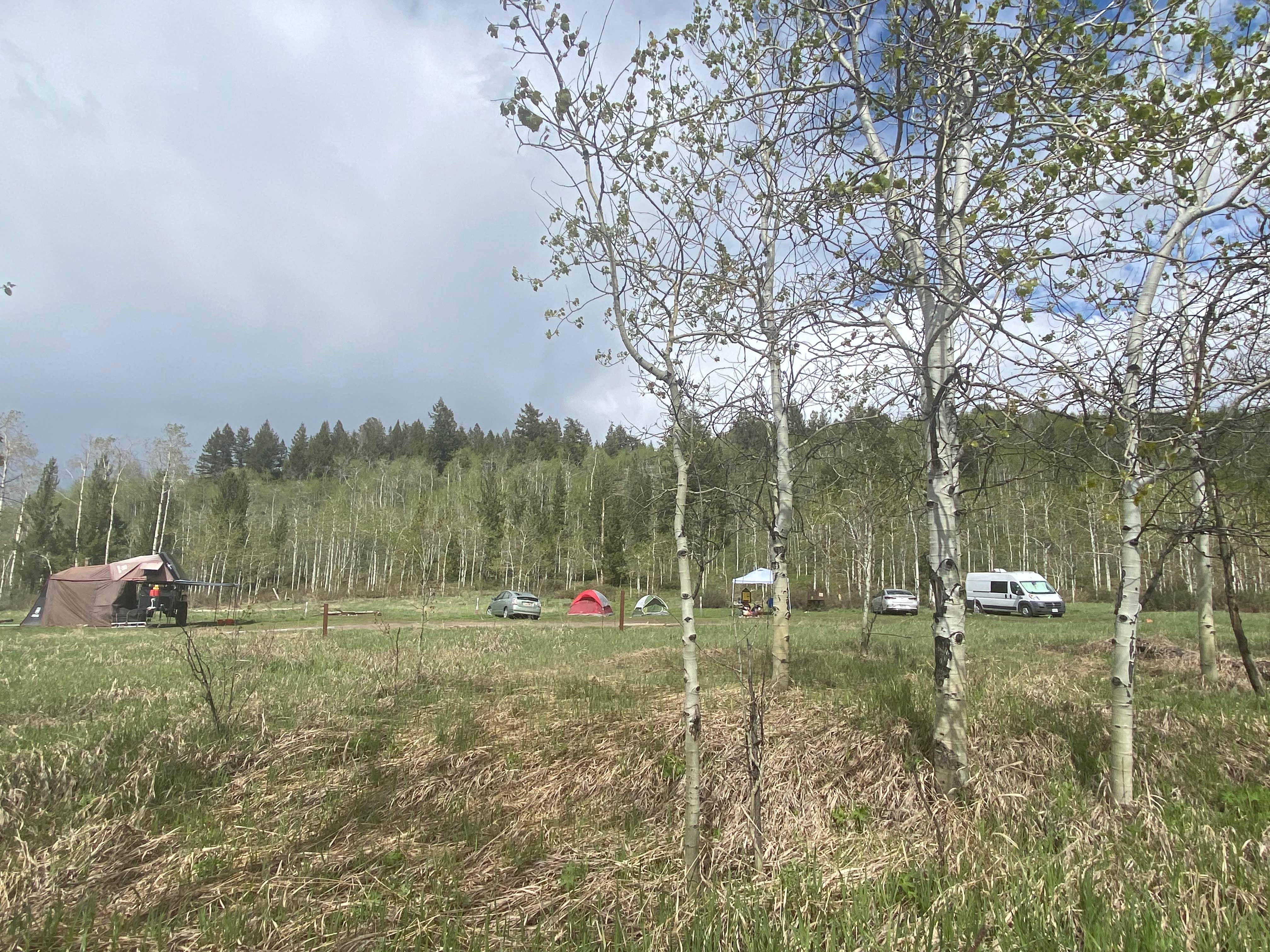 Scott V.'s photo of tent camping at Antelope Springs Designated Dispersed Camping Sites 1-8 near Wilson, WY