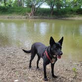 Review photo of Ouabache State Park Campground by emily P., May 28, 2023