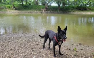 emily P.'s photo of camping with pets at Ouabache State Park Campground near Ossian, IN
