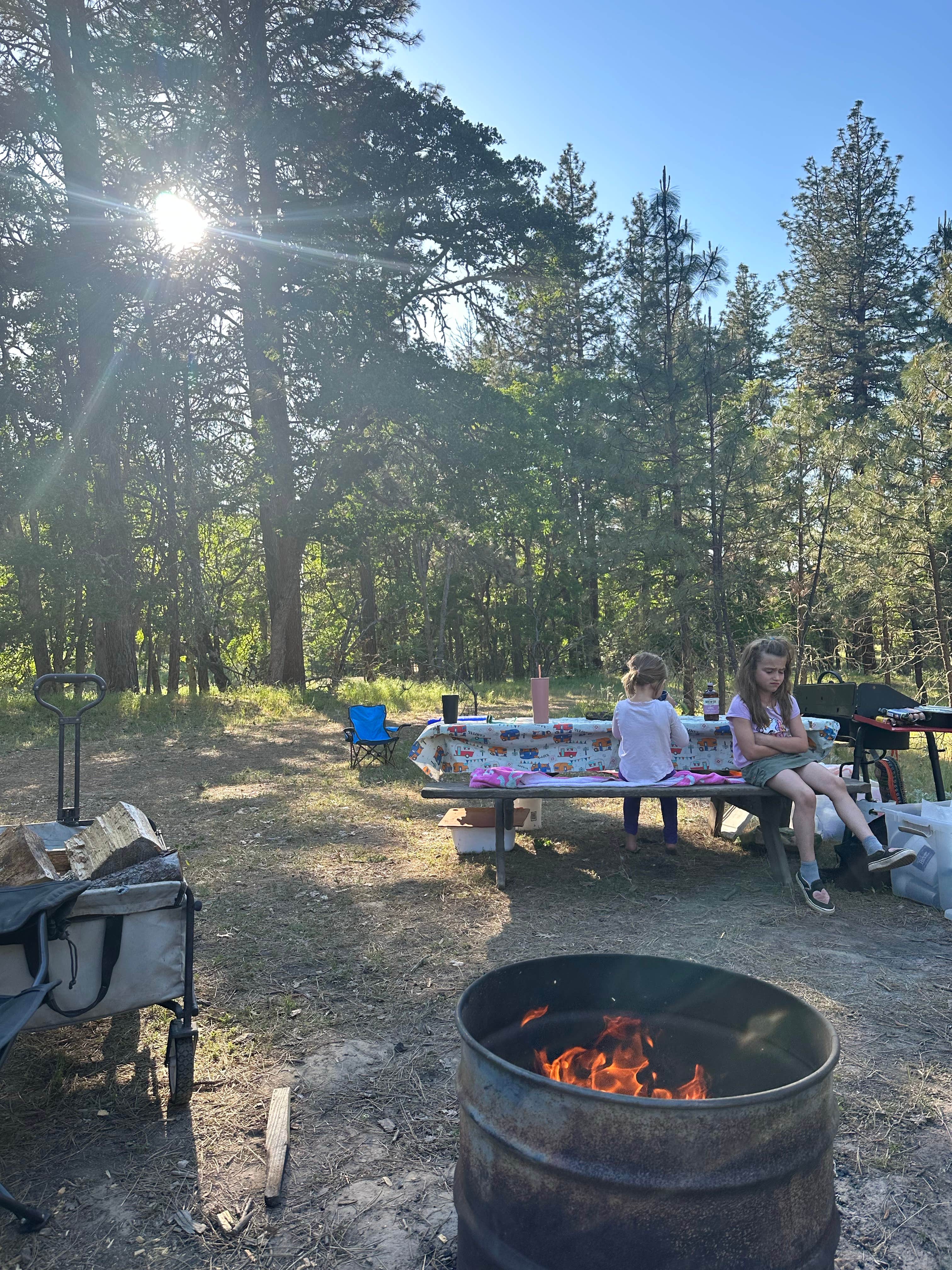 john H.'s photo at Roots Rise Family Farm near Klickitat, WA