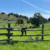 Review photo of Sheep Creek Dispersed Camping Area by Rebekah C., May 29, 2023