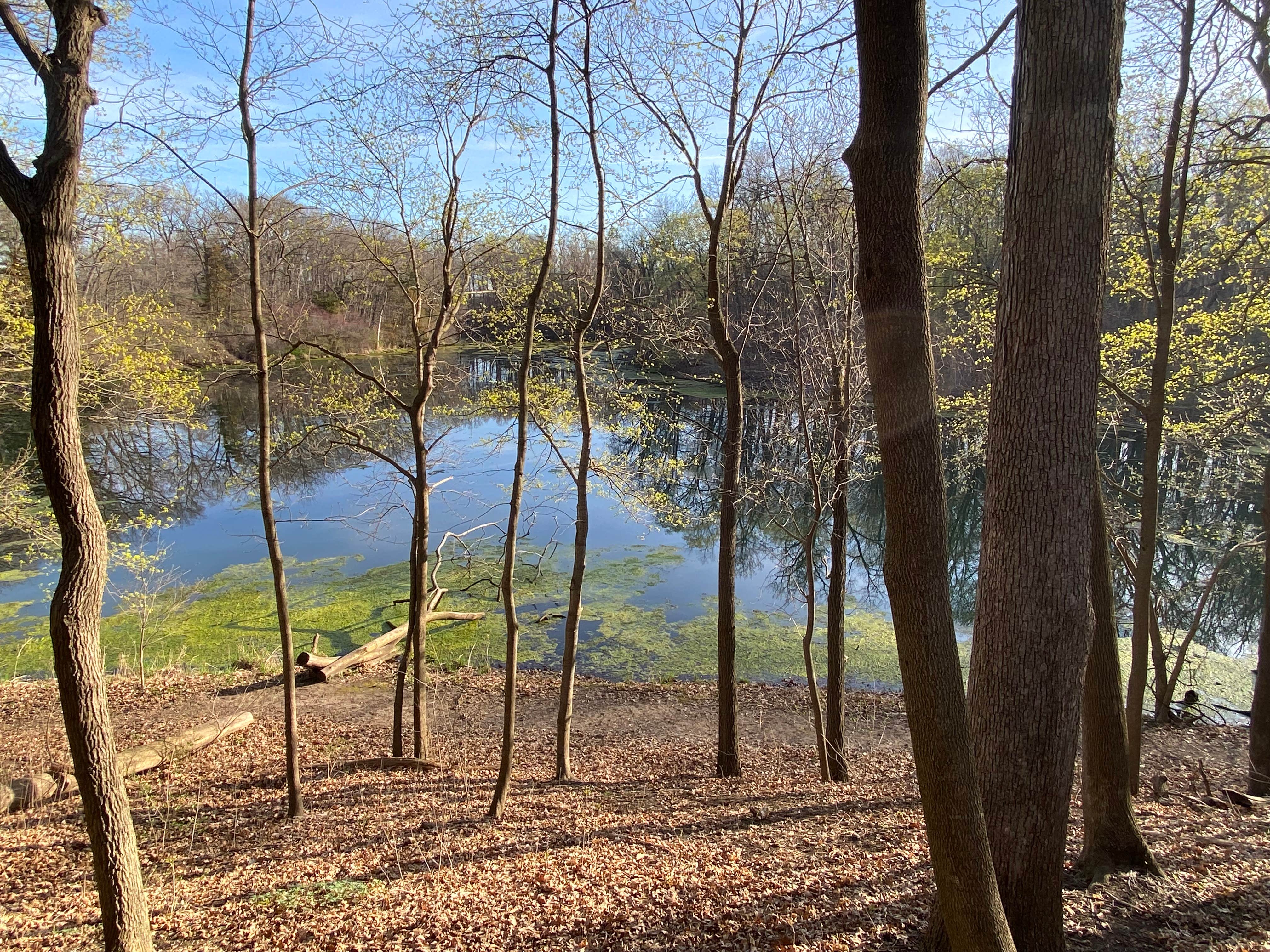 Camper submitted image from Matthiessen State Park Equestrian Campground — Matthiessen State Park - 5