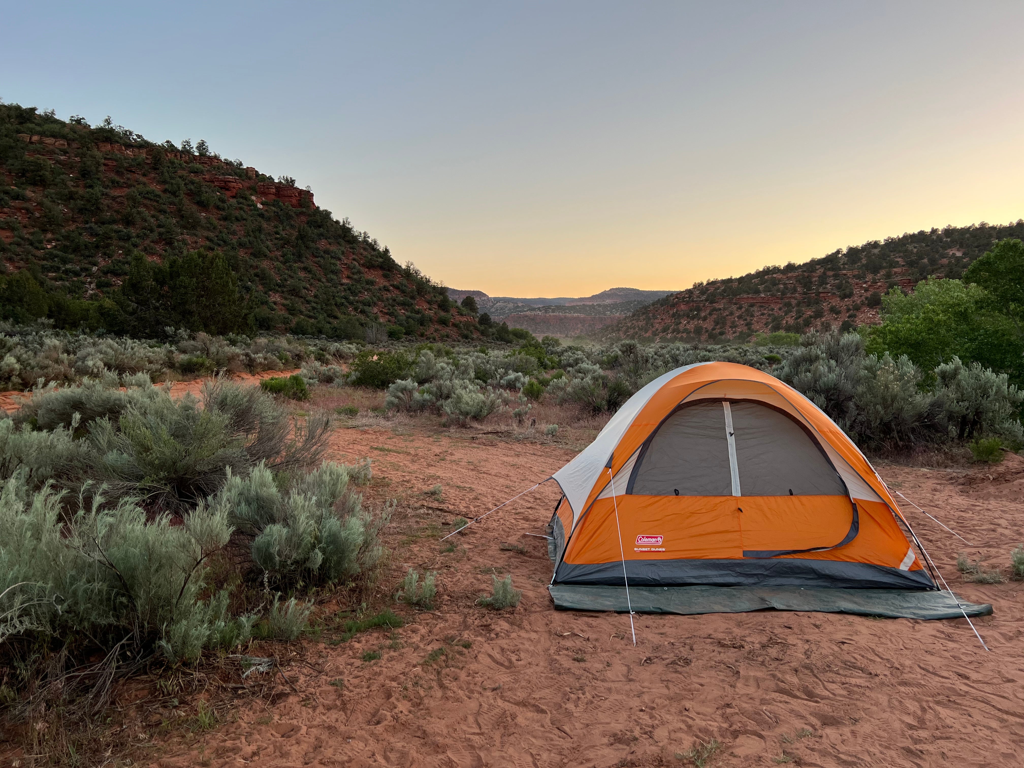 Camper submitted image from Hog Canyon - 5