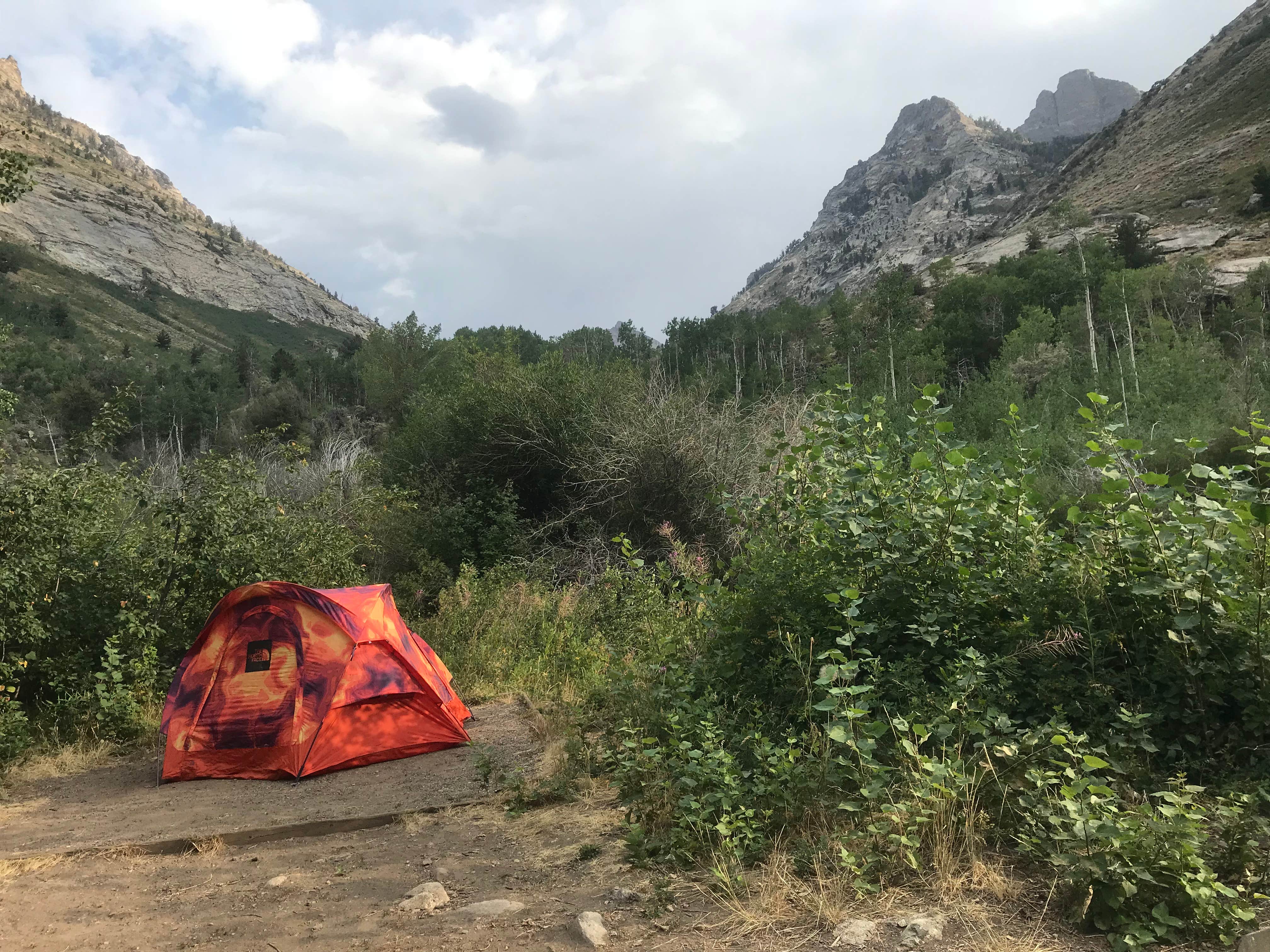 Camper submitted image from Humboldt National Forest Thomas Canyon Campground - 4