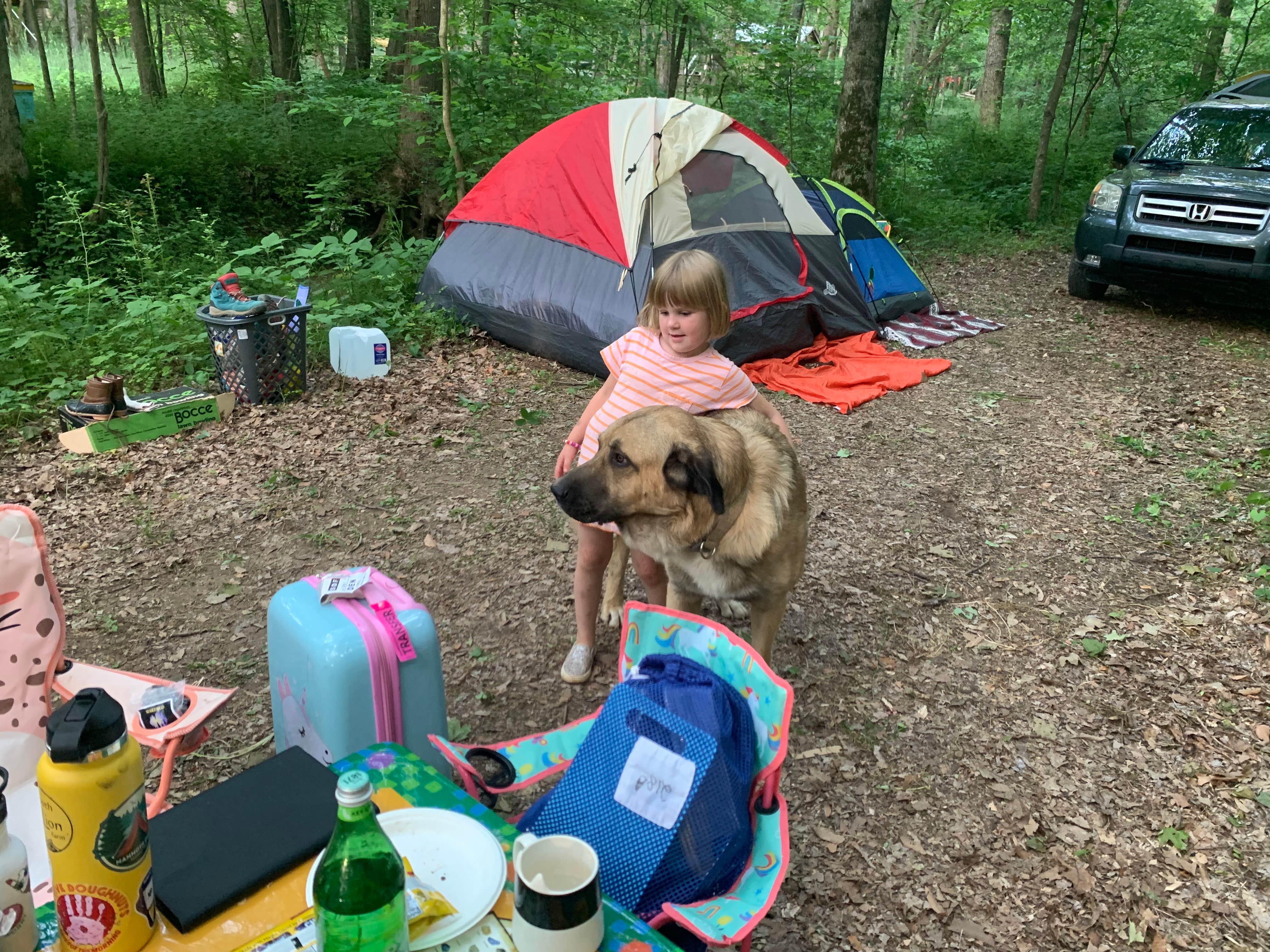 jared W.'s photo of camping with pets at Happy Hollow Homestead near New Pekin, IN