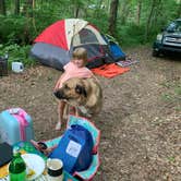 Review photo of Happy Hollow Homestead by jared W., May 29, 2023