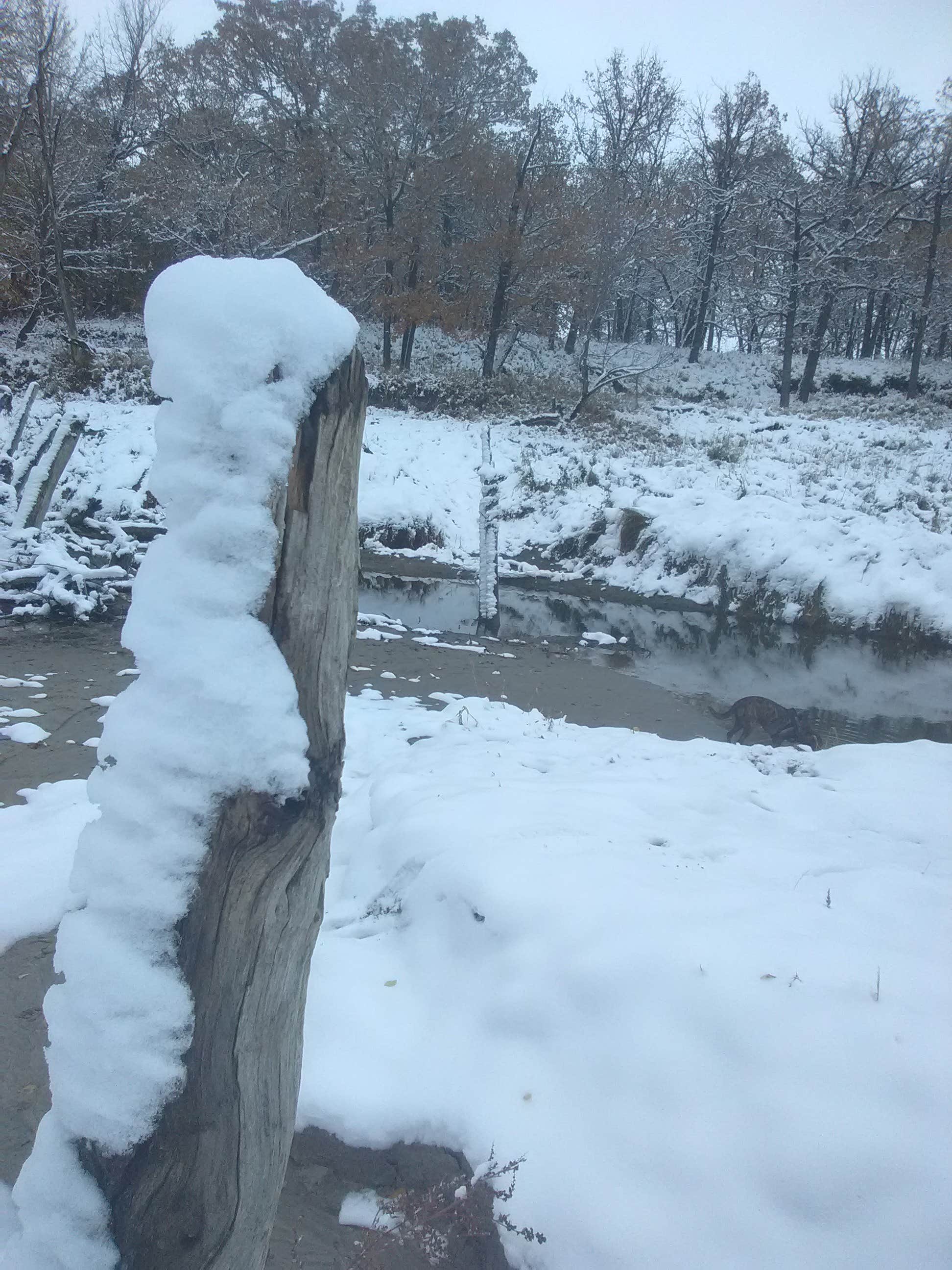 Camper-submitted photo at Gilbert Olson Park near Cavalier, ND