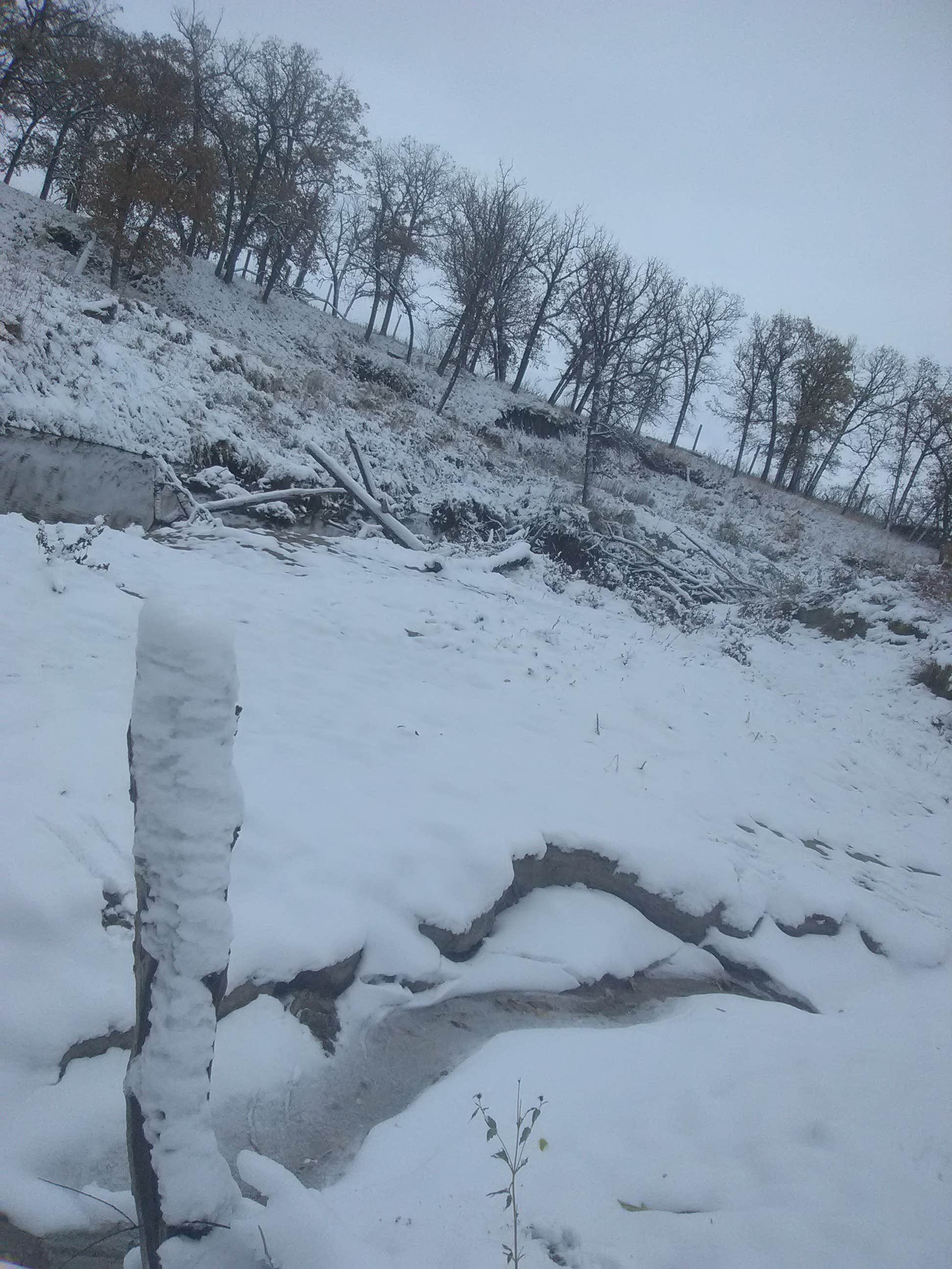Camper-submitted photo at Gilbert Olson Park near Cavalier, ND