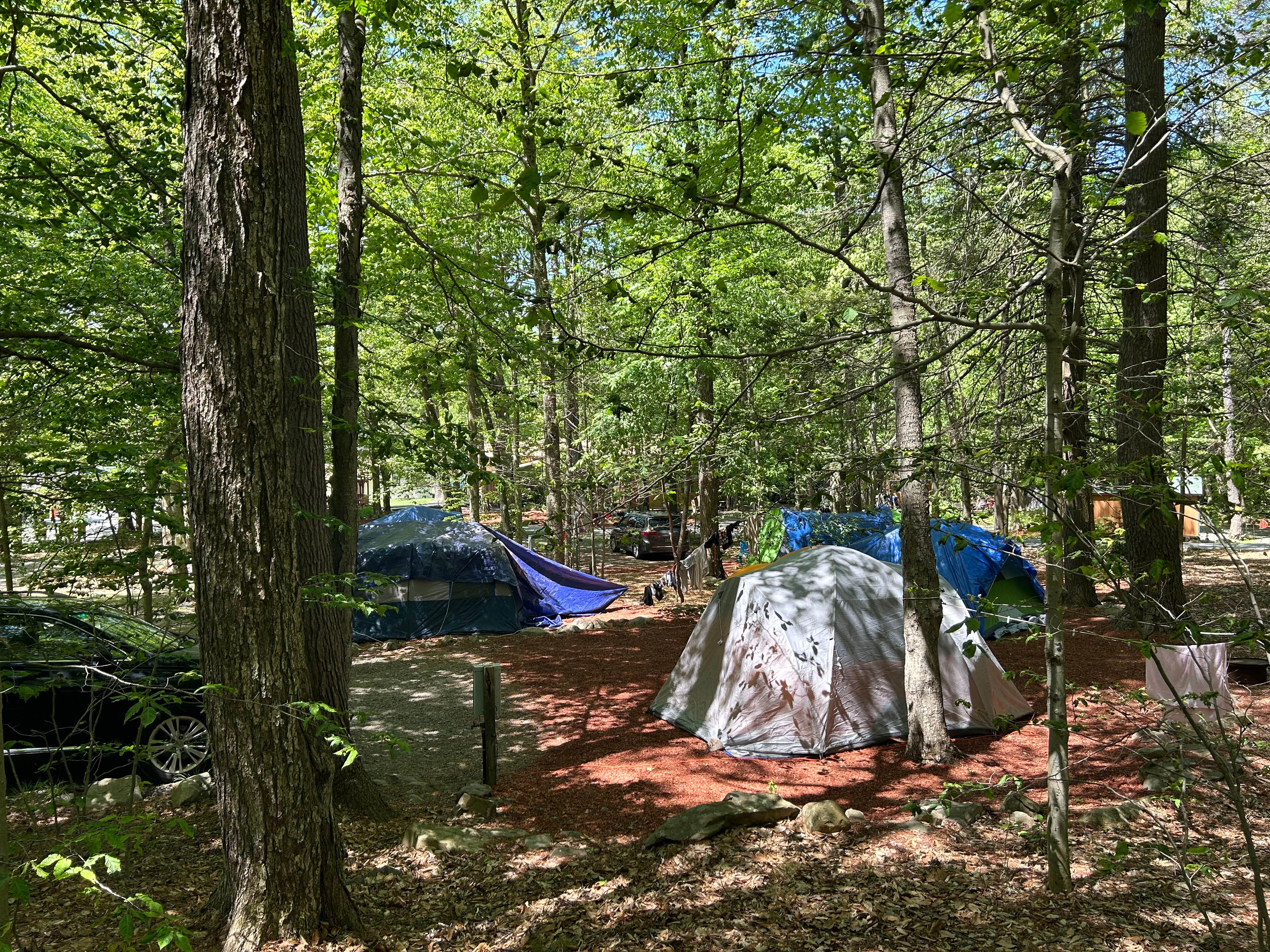 Camper-submitted photo at Hemlock Campground & Cottages near Tobyhanna, PA