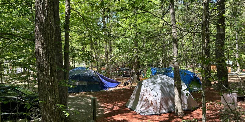 Camper submitted image from Hemlock Campground & Cottages