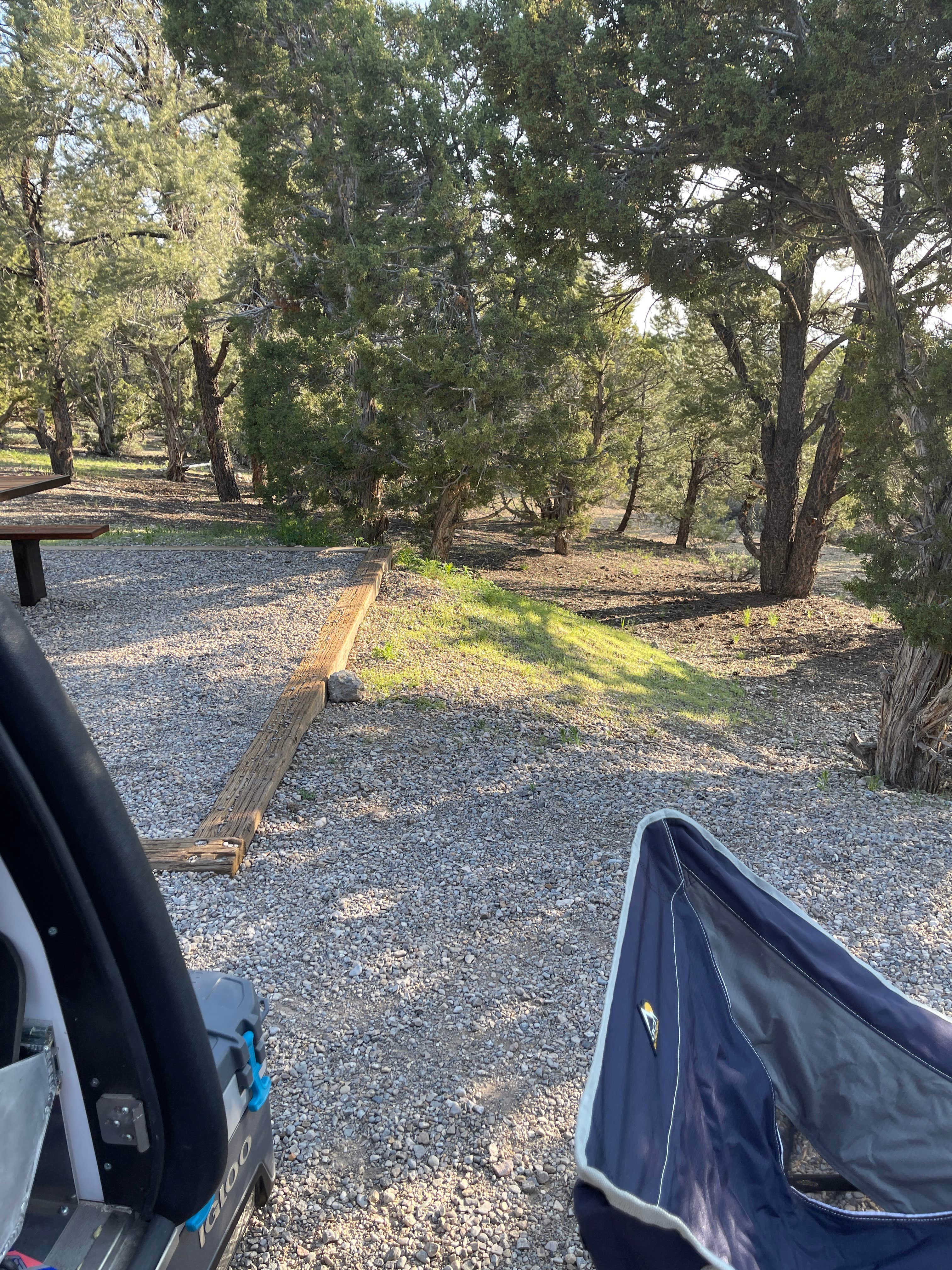 Camper-submitted photo at Ward Mountain Campground near Duckwater, NV