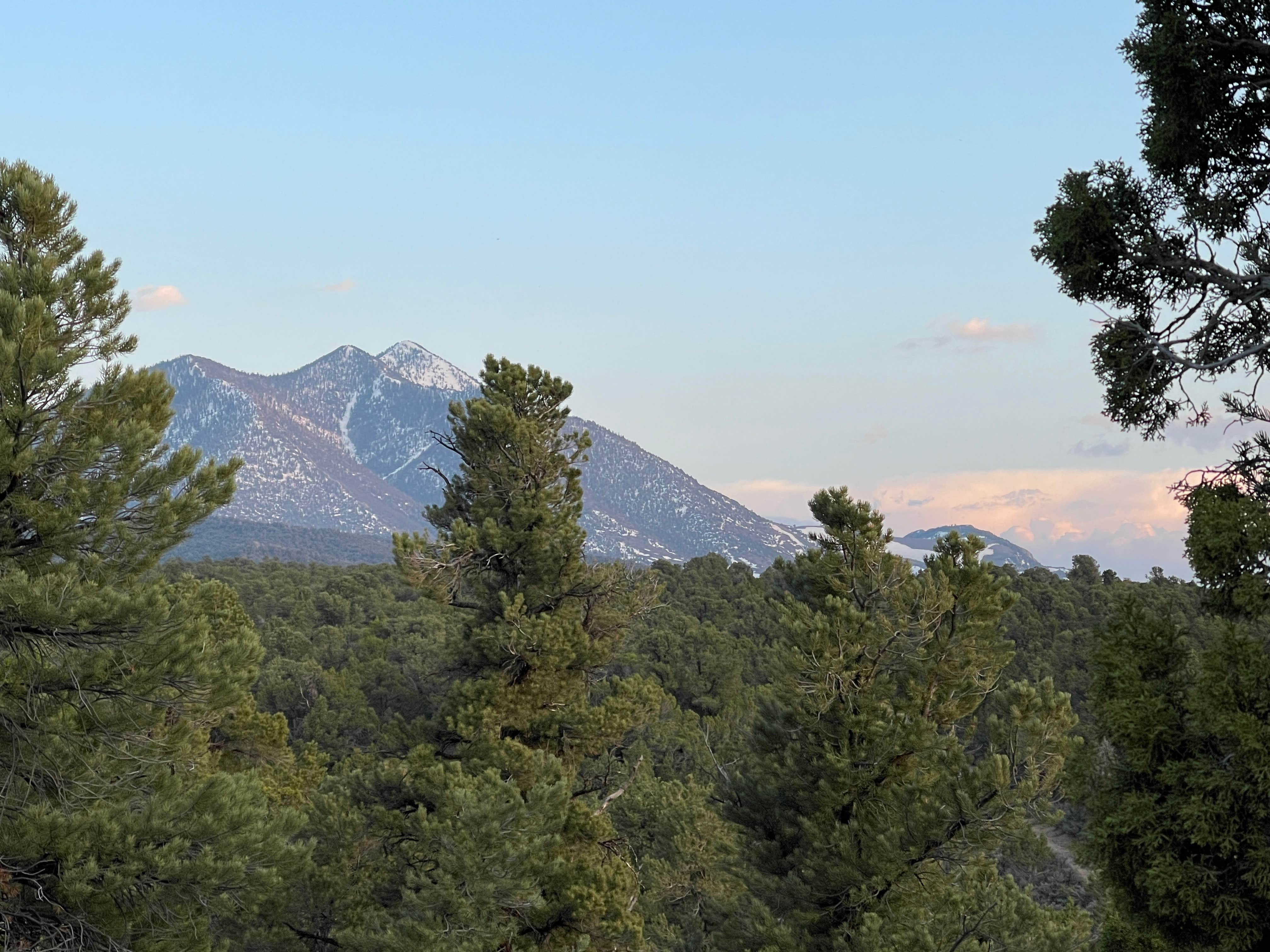 Camper-submitted photo at Ward Mountain Campground near Duckwater, NV