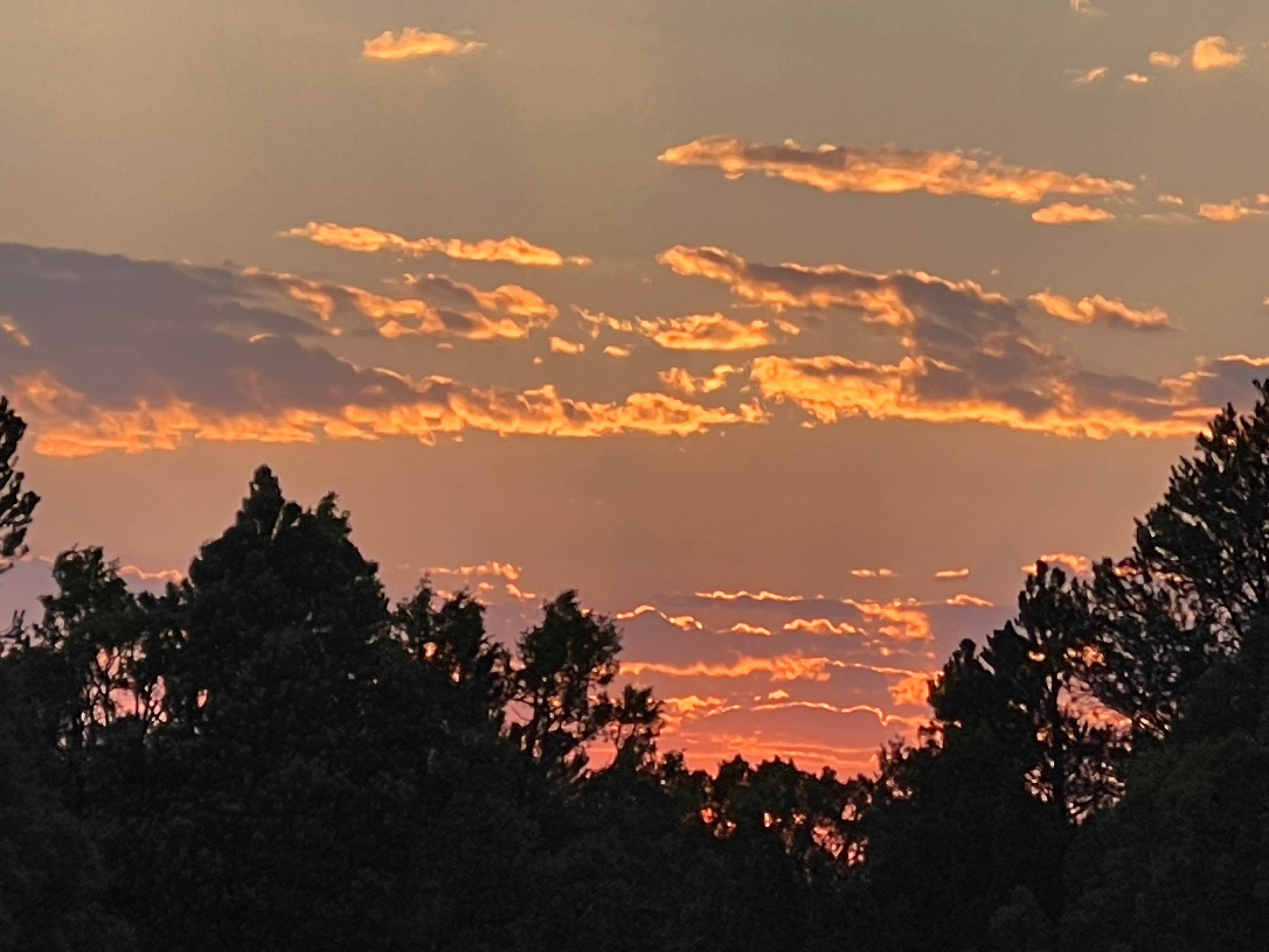 Camper-submitted photo at Ward Mountain Campground near Duckwater, NV