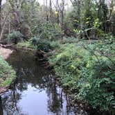 Review photo of Lake Le-Aqua-Na State Recreation Area by Ber M., October 13, 2018