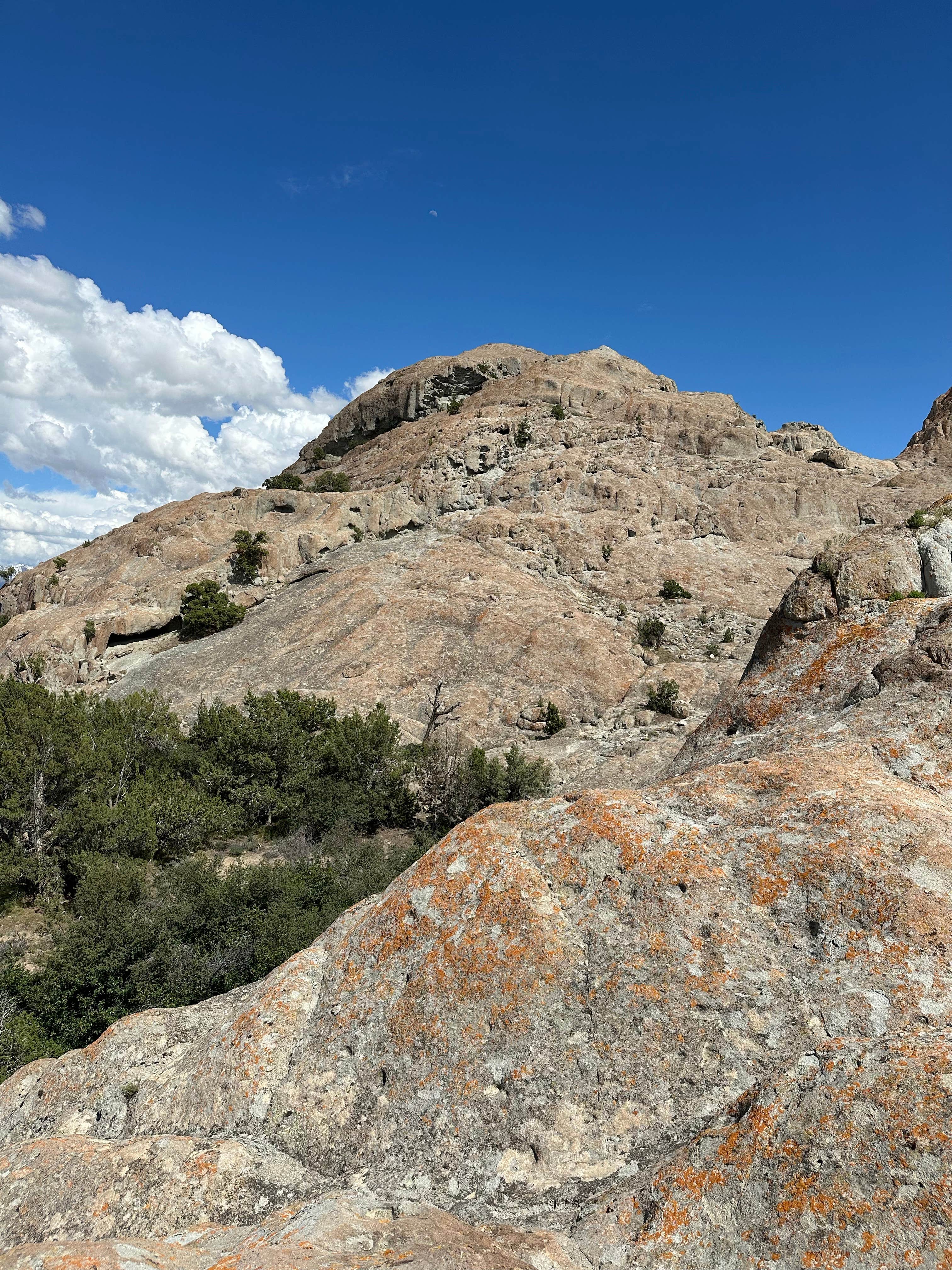 Camper-submitted photo at White Rocks Dispersed Camping near Dugway, UT