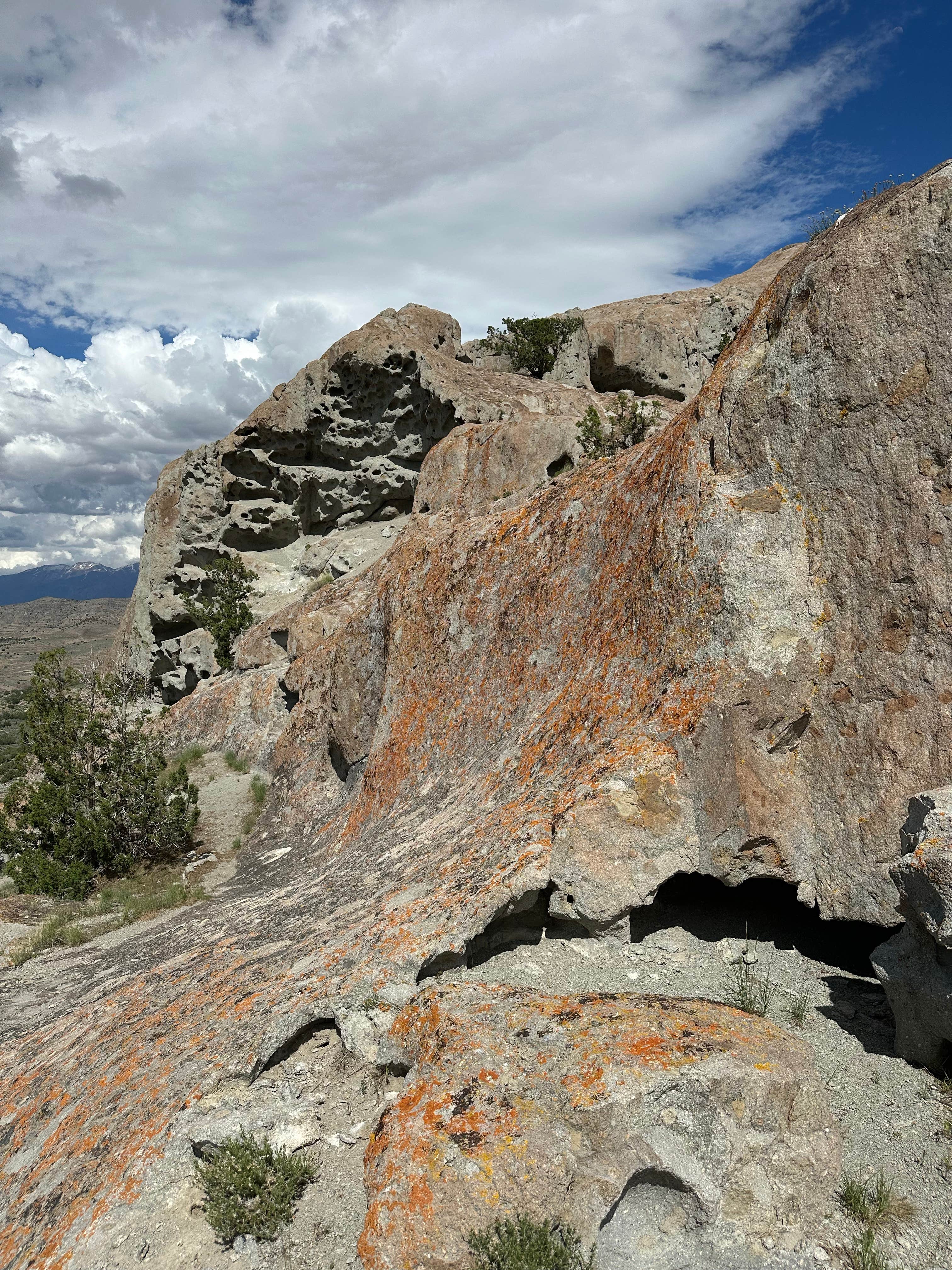 Camper-submitted photo at White Rocks Dispersed Camping near Dugway, UT