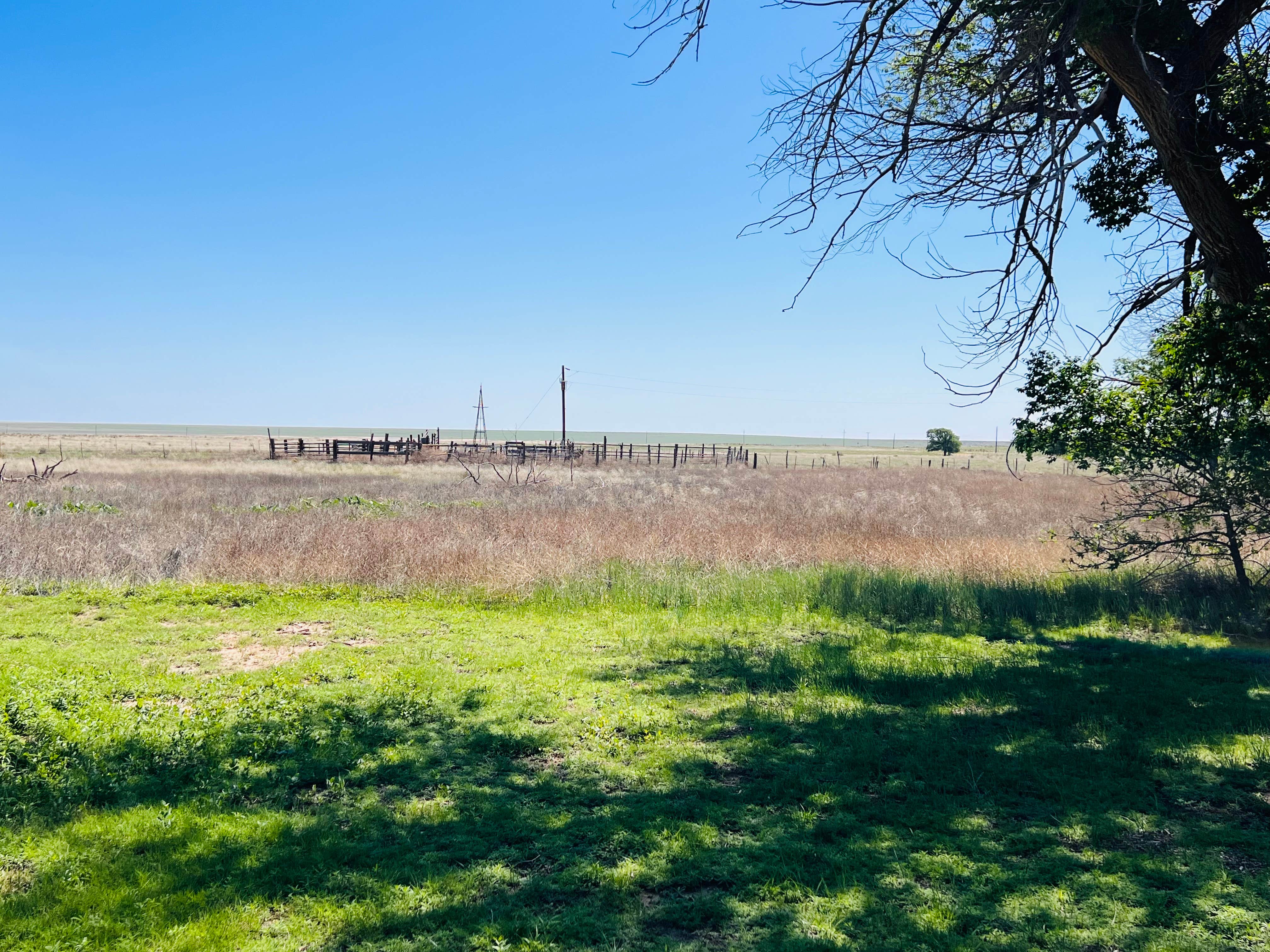 Camper-submitted photo at Thomspon Grove Campground near Boise City, OK
