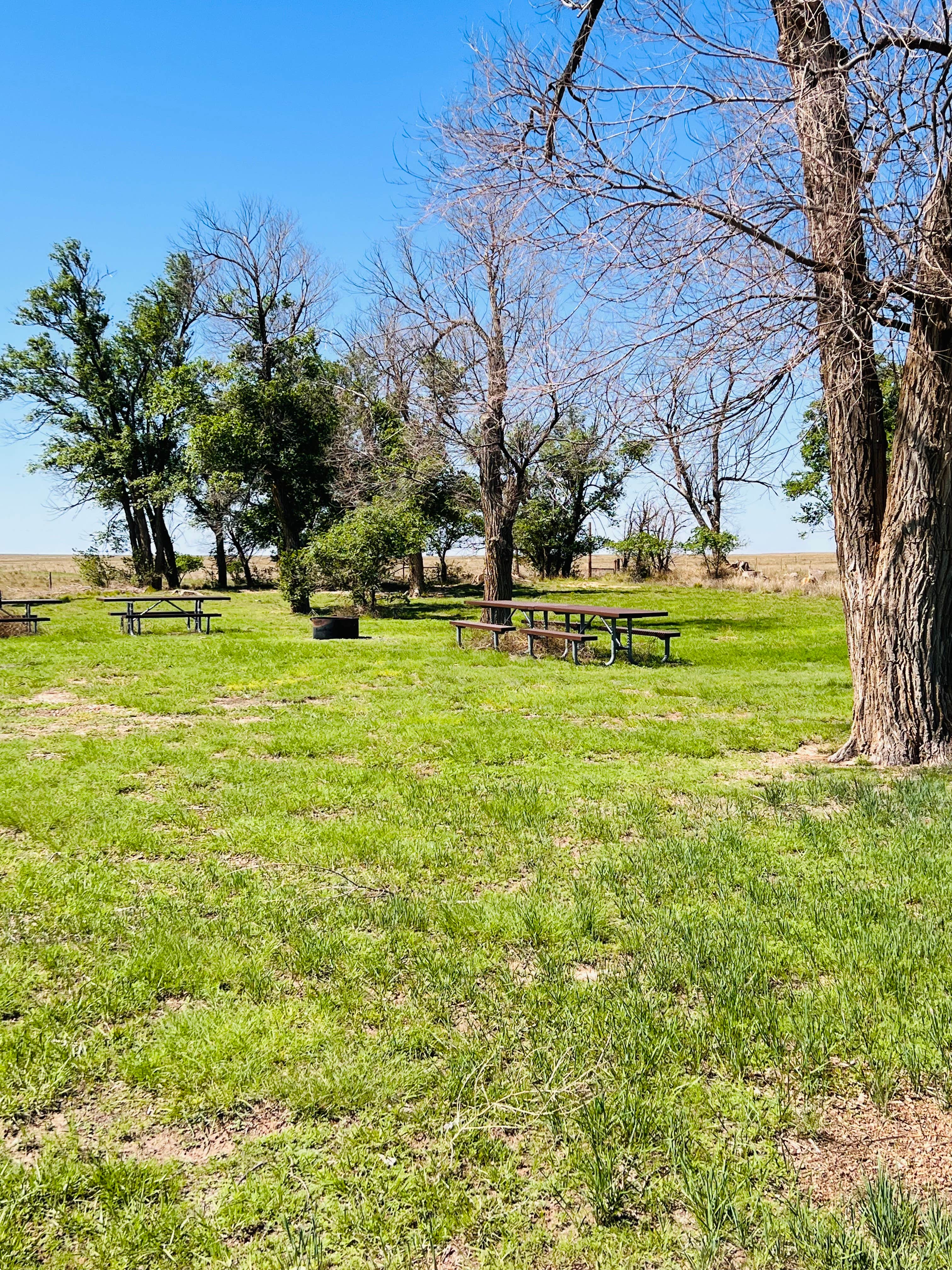 Camper-submitted photo at Thomspon Grove Campground near Boise City, OK