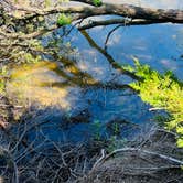 Review photo of Pine Campground - Merritt Reservoir by Dwayne and Heather W., May 29, 2023