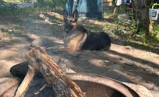 Tonya D.'s photo of camping with pets at Oakland Valley Campground near Sterling Forest, NY