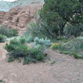 Review photo of Basin Campground — Kodachrome Basin State Park by Amy H., May 29, 2023