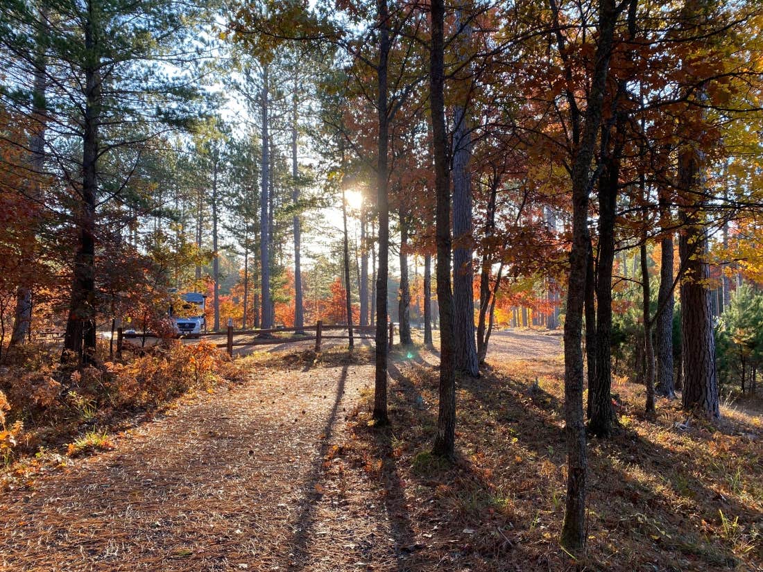 Camper-submitted photo at Land O' Lakes Nature RV Resort near Watersmeet, MI