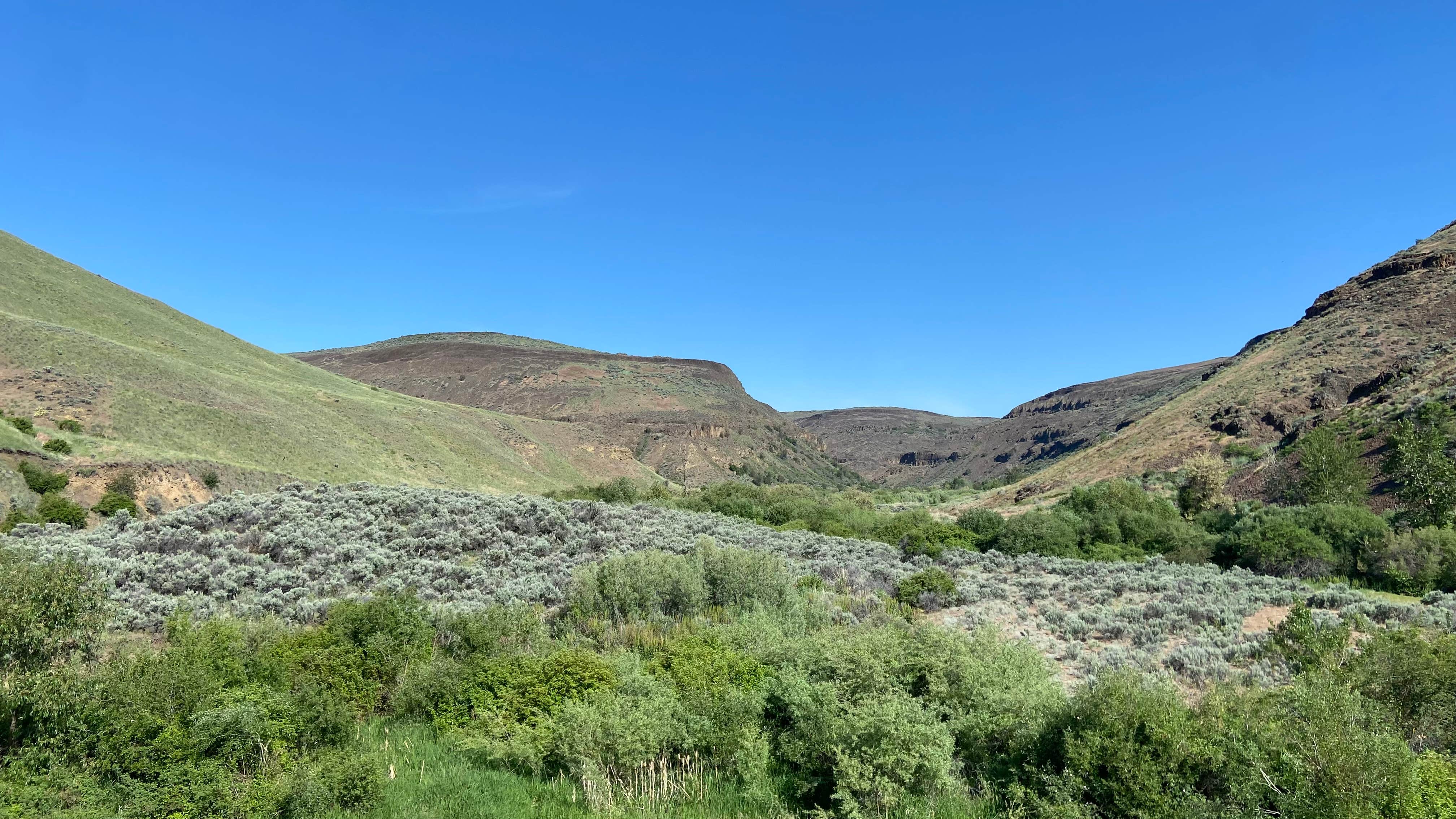 Camper-submitted photo at Douglas Creek near Hartline, WA