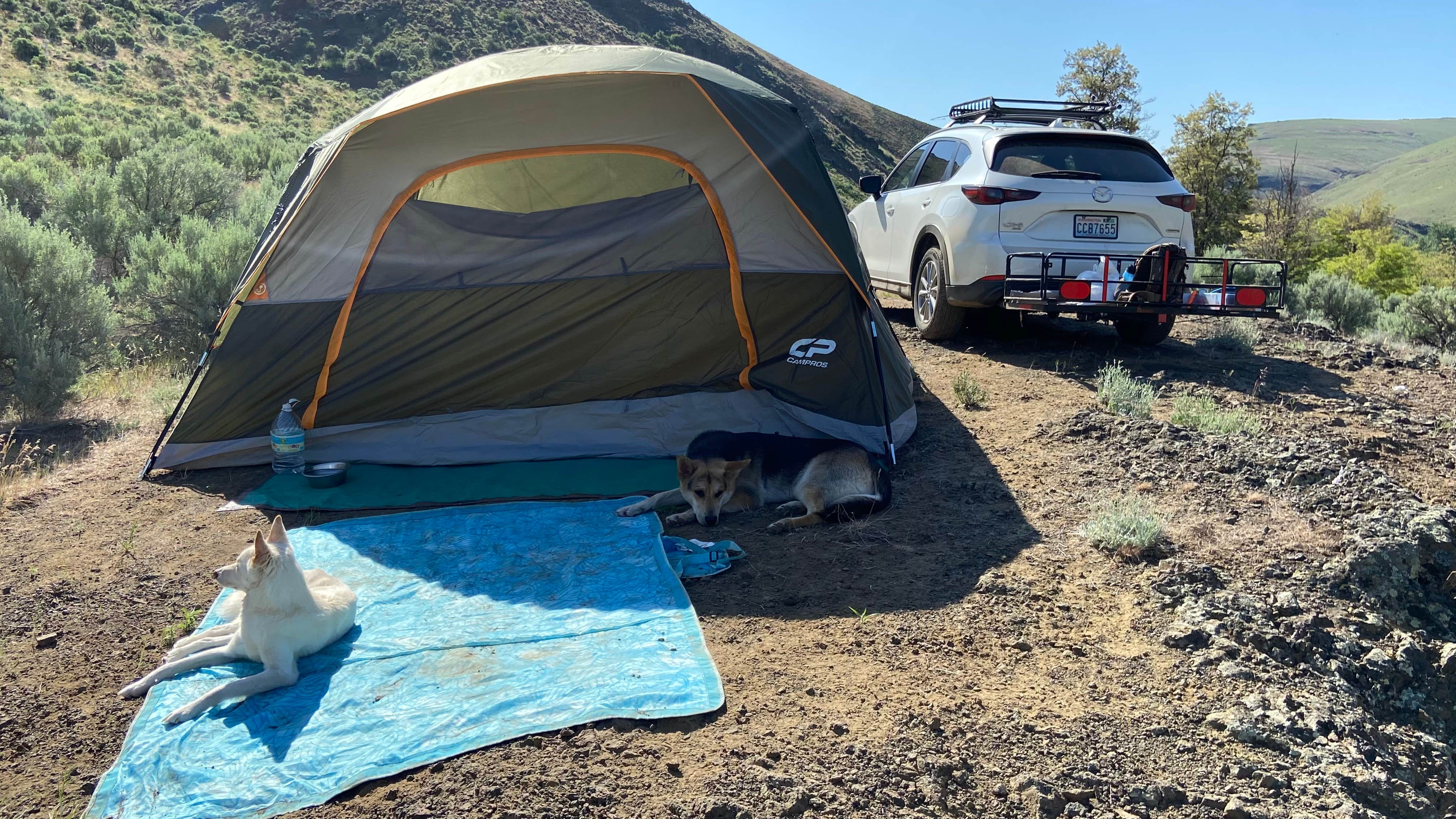 Camper-submitted photo at Douglas Creek near Hartline, WA