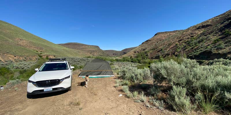 Camper submitted image from Douglas Creek