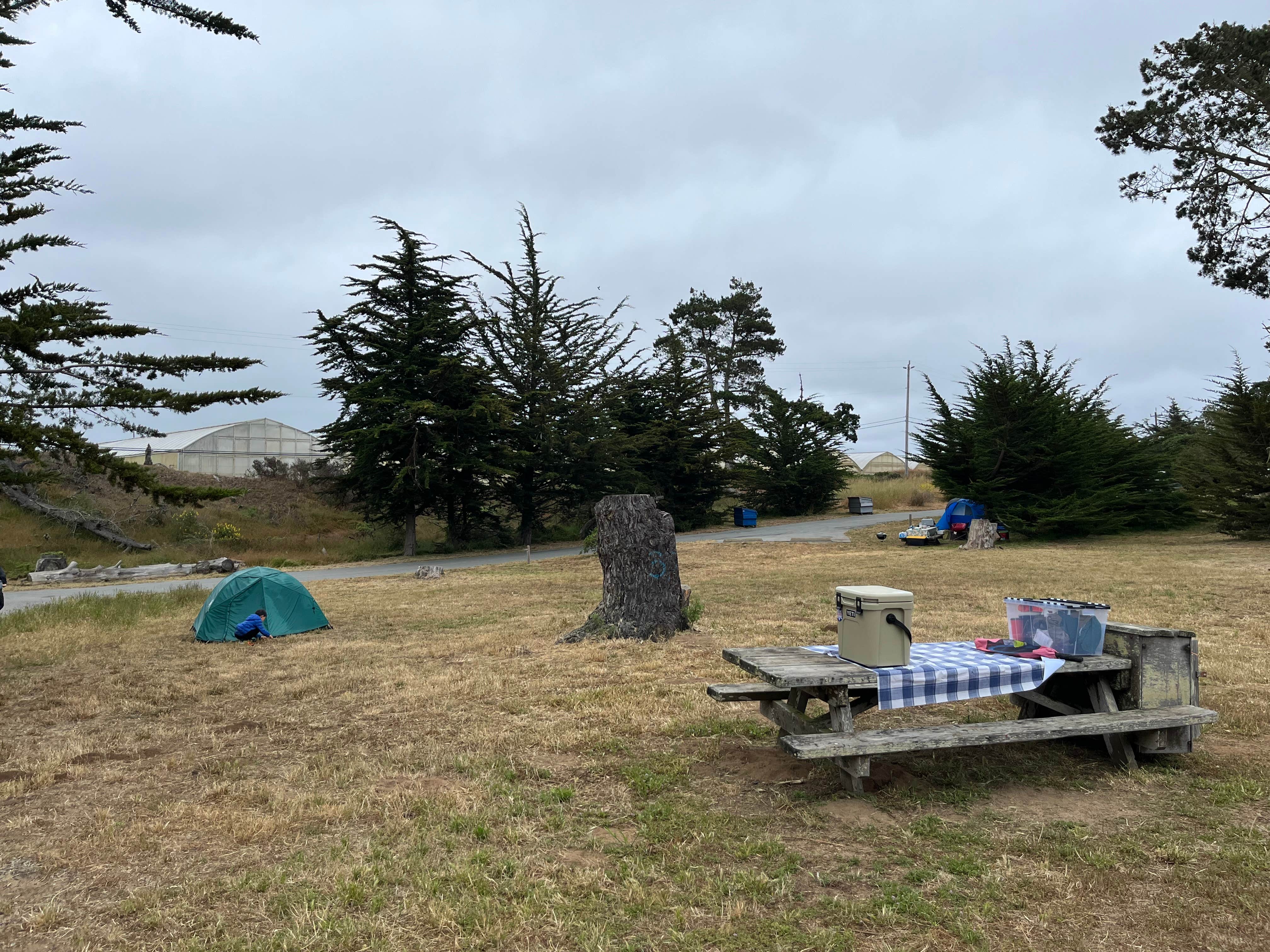 Alma L.'s photo at Sunset State Beach near Moss Landing, CA