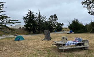 Alma L.'s photo at Sunset State Beach near Pebble Beach, CA