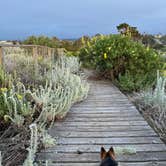 Review photo of Sunset State Beach by Alma L., May 29, 2023