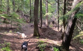 Marcus K.'s photo of camping with pets at South Skookum Lake Campground near Cusick, WA