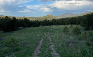 Matt L.'s photo of a dispersed camping area at N Boulder Creek Dispersed Camping near Boulder, CO